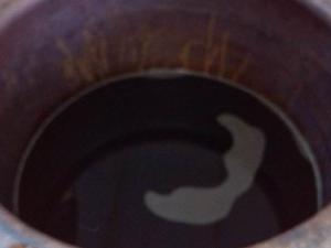 牛奶红薯醋
